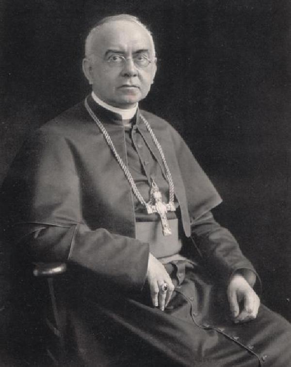 Felix Kardinal von Hartmann, Porträtfoto, um 1913