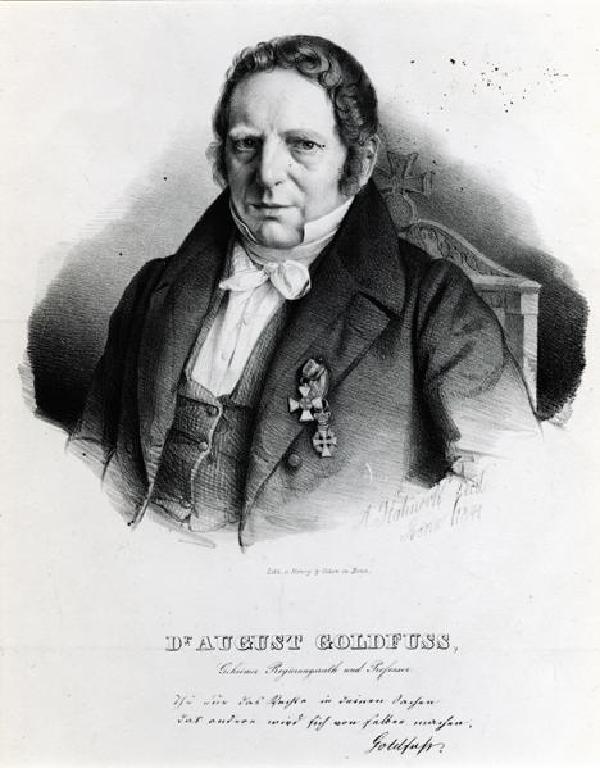 Georg August Goldfuß, Porträt, Lithographie von Adolf Hohneck (1812-1879), 1841
